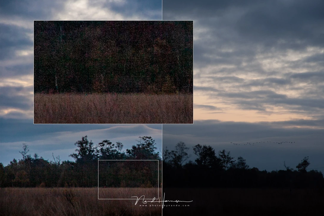 With ISO200 the possibilities for correcting shadows was very limited. I bumped up the shadows nearly 2 stops, but the noise is already very prominent. Quite a difference with modern sensors.