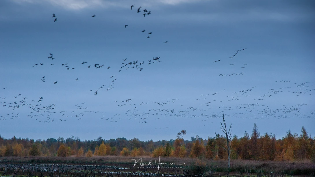 Canon EOS 20D with EFs15-85mm @ 70mm - ISO200 - f/5,6 - 1/50 sec