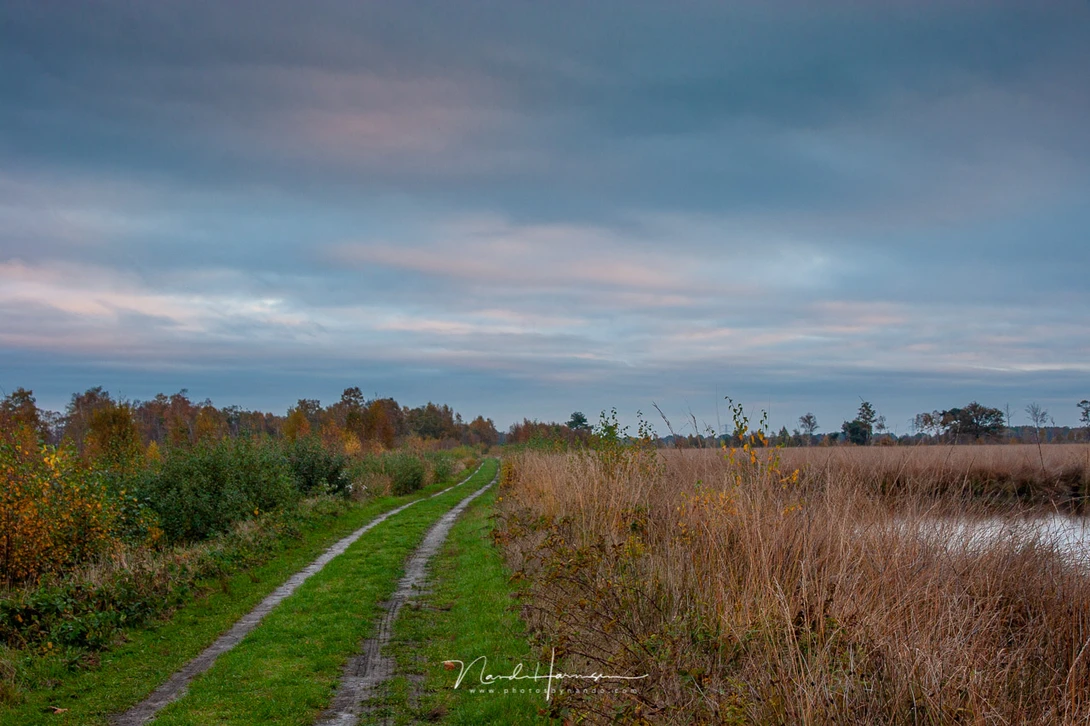 Canon EOS 20D with EFs15-85mm @ 31mm - ISO100 - f/8 - 1/15 sec