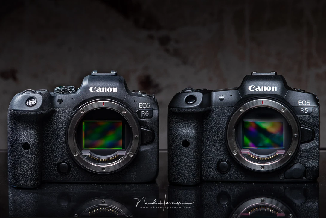 The Canon EOS R6 next to the Canon EOS R5. Can you spot the differences? As you can see, there are many although they look the same at first glance (photo is a digital merger between two seperate photos)