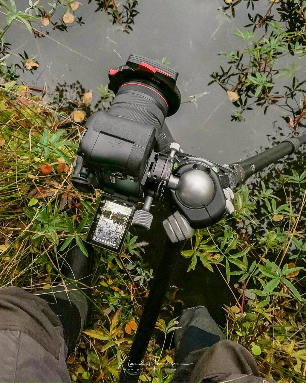 Shooting from difficult angles is very easy with the full articulating screen. 