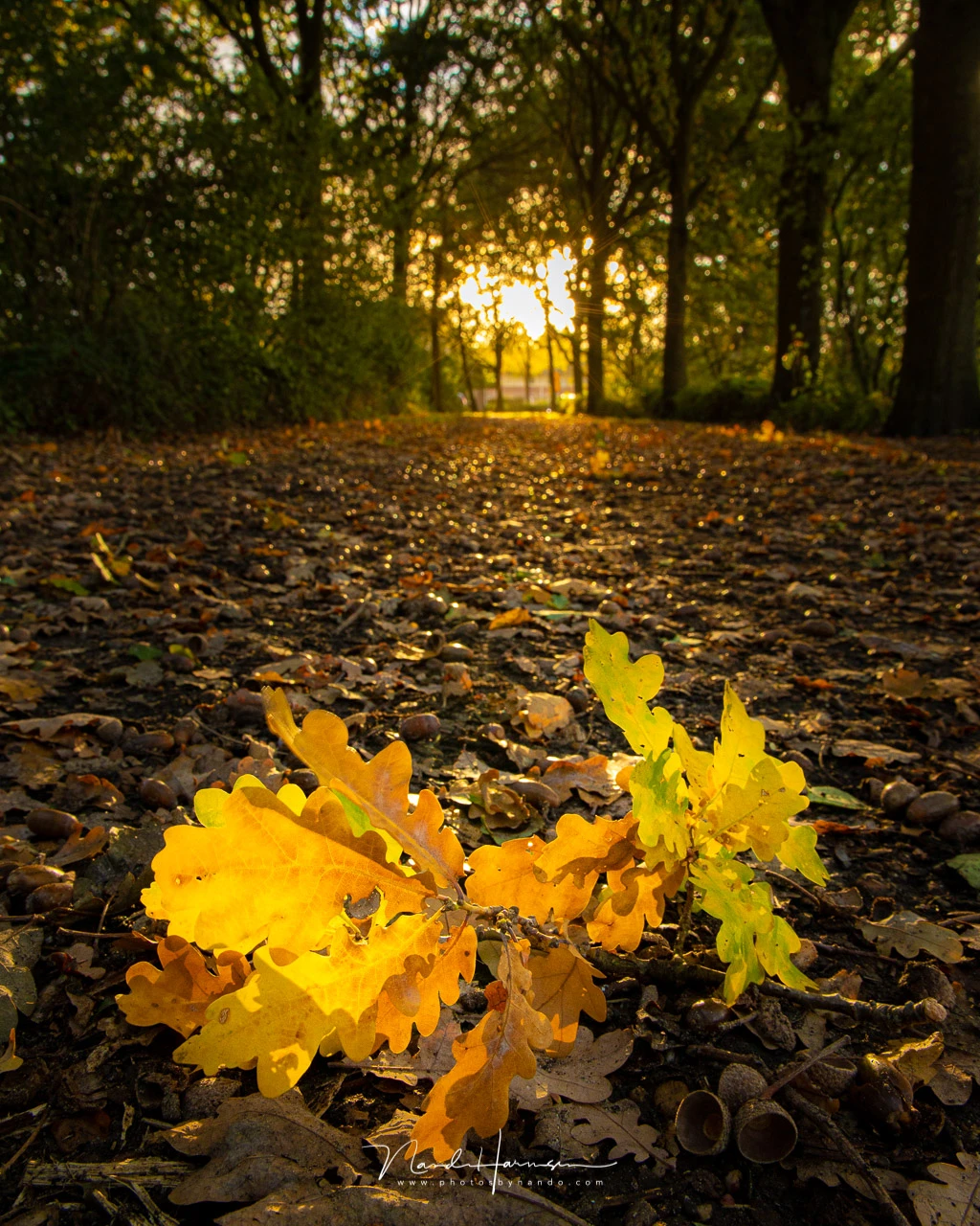 Canon EOS R6 with RF24-105mm @ 24mm - ISO400 - f/14 - 1/13 sec