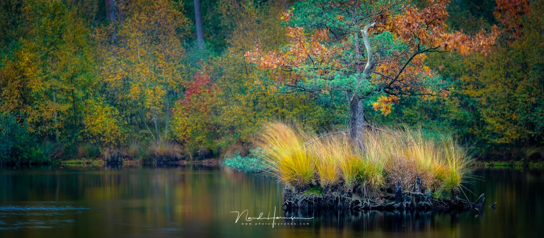 Canon EOS R6 with EF100-400L II @ 220mm - panorama from two images, merged in Lightroom Classic - ISO100 - f/5 - 3.2 sec