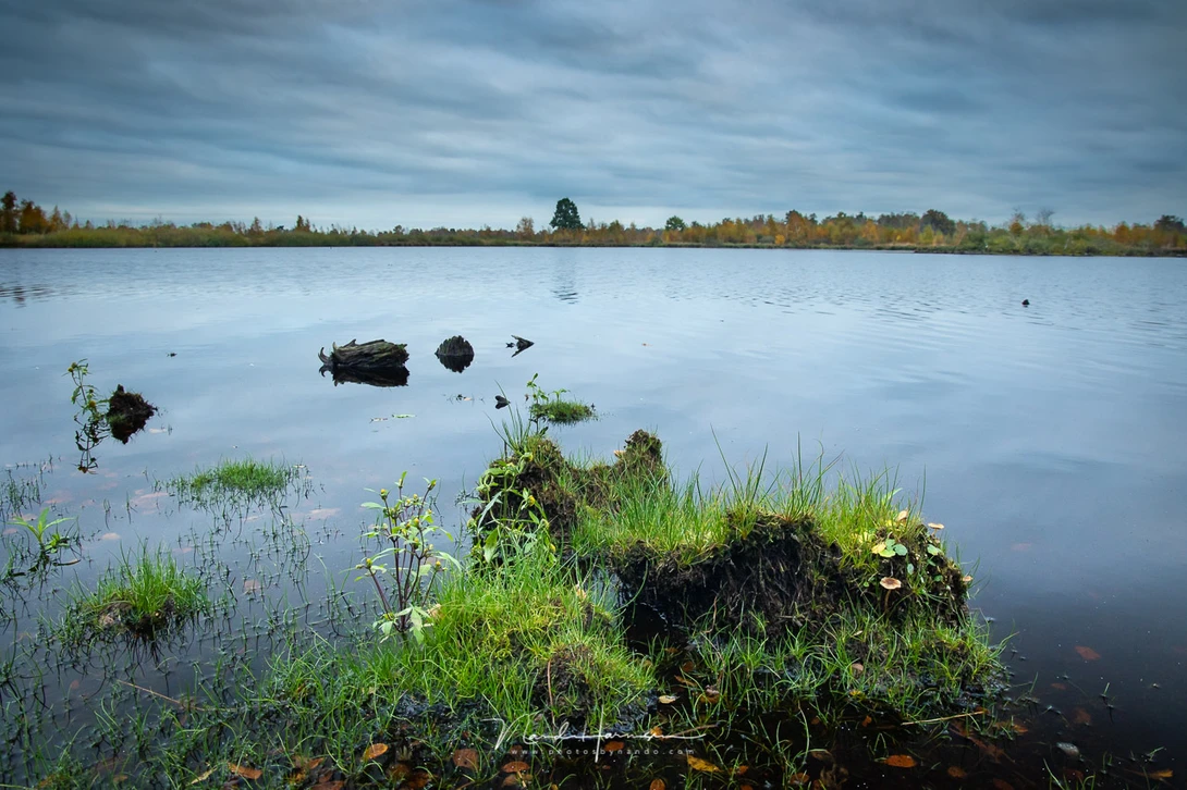 Canon EOS R6 with RF24-105L @ 24mm - ISO800 - f/11 - 1/25 sec