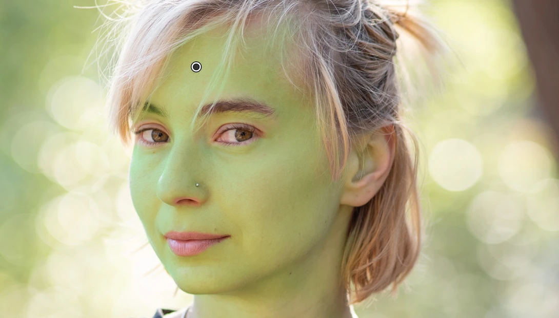 Lightroom Shrek
