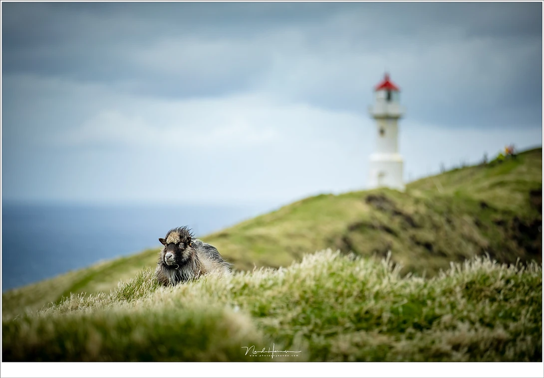 A small depth of field give a 3D feel to an image. It works best with longer focal lengths