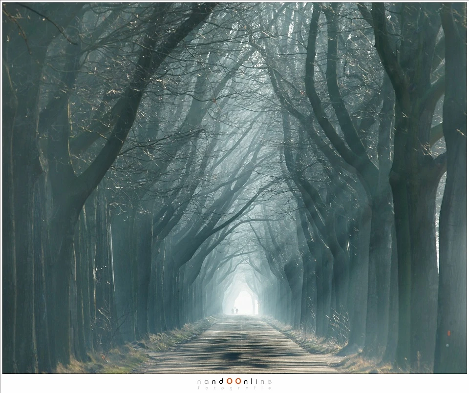 Repeating elements will help you to give the image a 3D feel. 