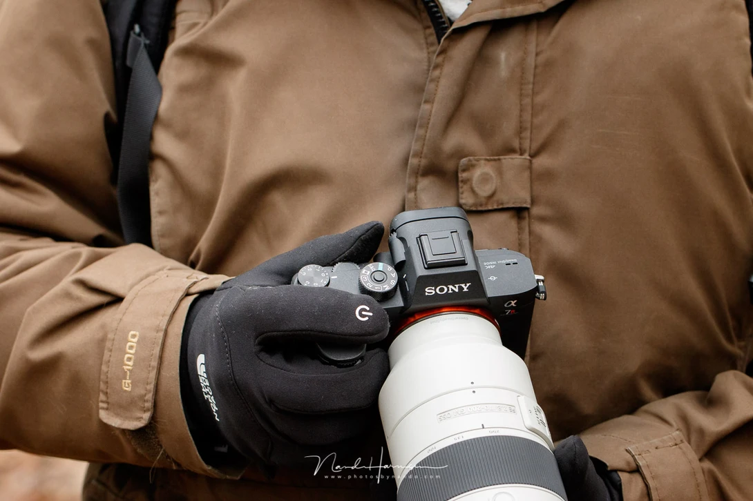 Switch over to Sony mirrorless? Or stay with the Canon DSLR. I wondered often which path to choose.