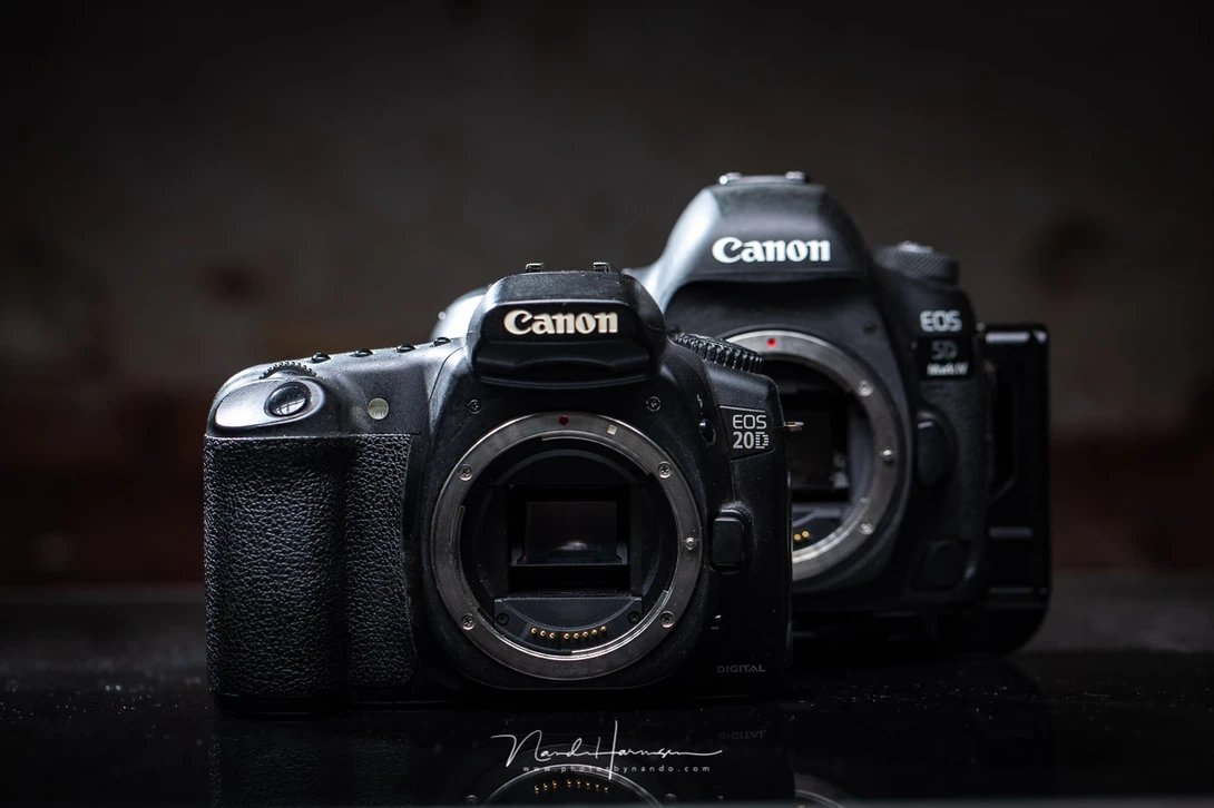 I didn't chose Canon. The camera chose me. It felt as if the camera was designed for my hands.
