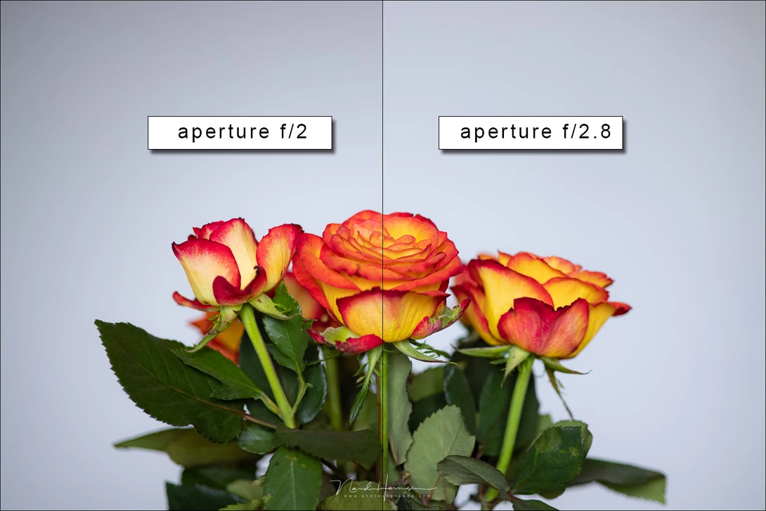 This shows the amount of vigneting when the in camera lens correction option is turned off.