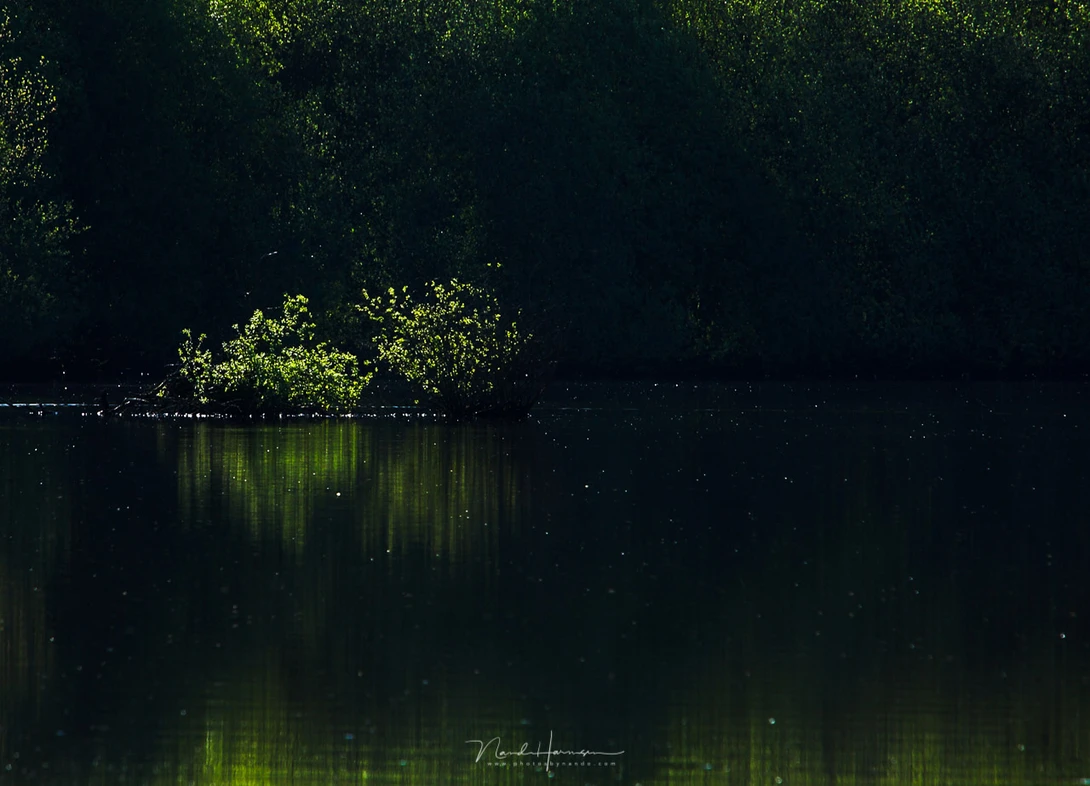 A landscape in low key. Most of the tonal values are located in the left part of the histogram.