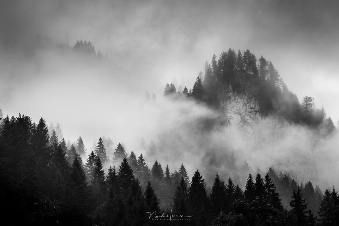 I used diagonal lines for this photo in the Austrian Alps, you might even call it the use of the golden triangle. 