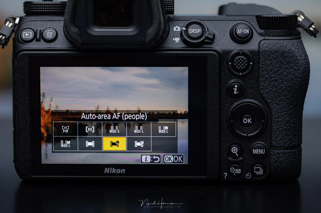 THe Nikon Z6 II has an improved AF system, but you still need to switch between human eye AF and animal eye AF. There is no automatic detection. The eye detection now works with wide field AF also. 