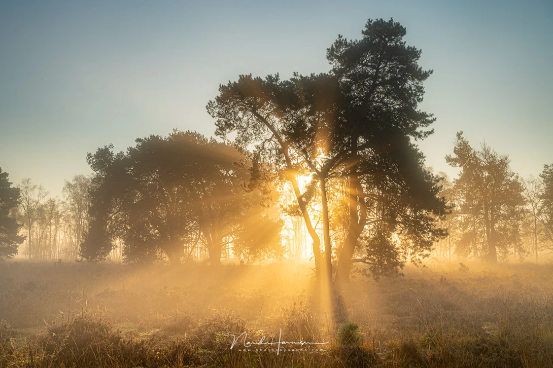I love these typical autumn sunrises. It was much fun using the Nikon Z6 II.