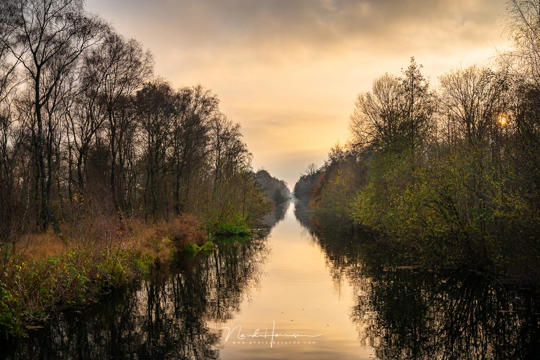 Thanks to the dynamic range it is easy to lift the darkest parts of the photo. Just make sure you don't get overexposed areas that cannot be corrected anymore. But that is basic exposure knowledge, I guess,