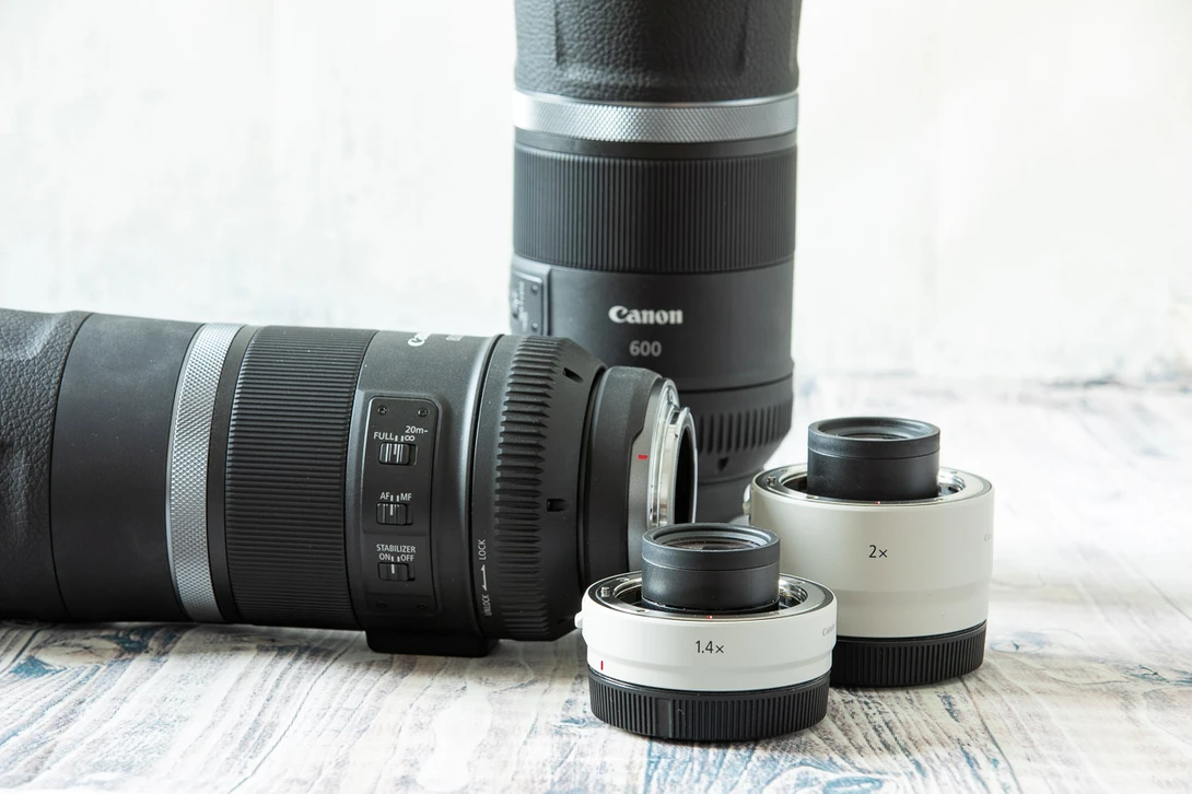 You can use both the RF 1.4x and RF 2x teleconverters. But you will notice a decrease in image quality