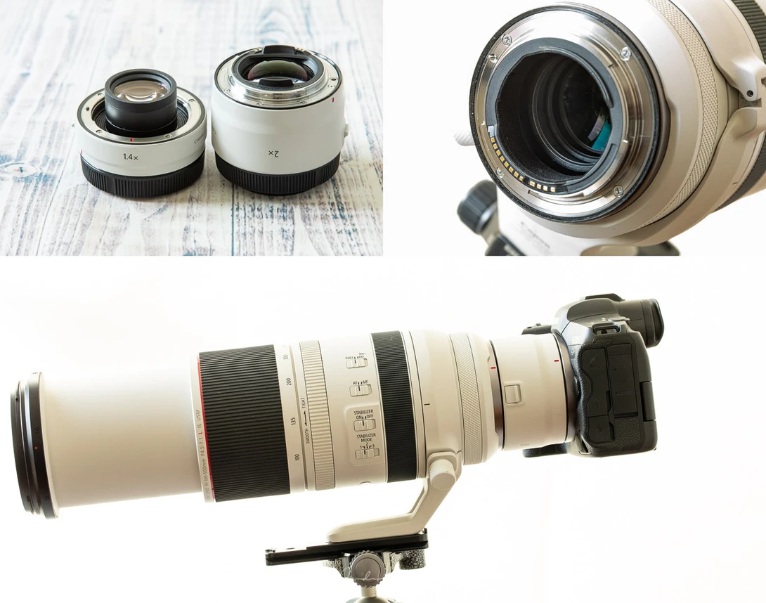 You can use an extender, but you need to zoom in to 300mm before you can mount the extender.