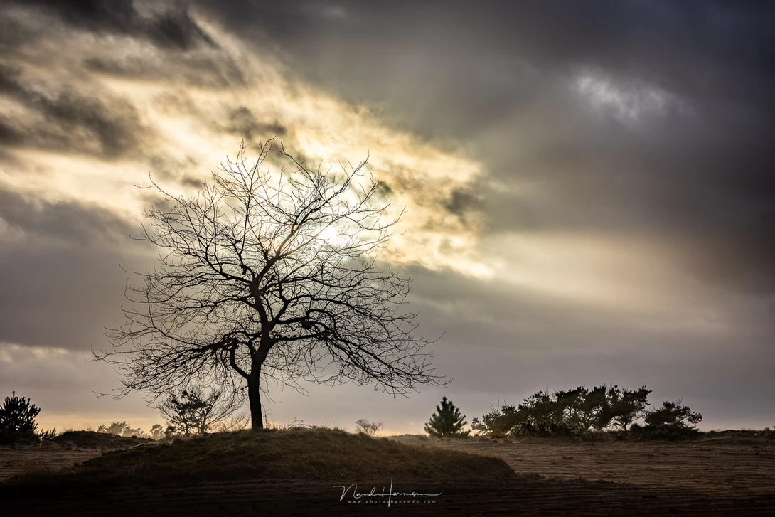 HDR image of a sunset (EOS R5 + RF100-500L @ 100mm - ISO100 - f/11 - exposure bracketing)