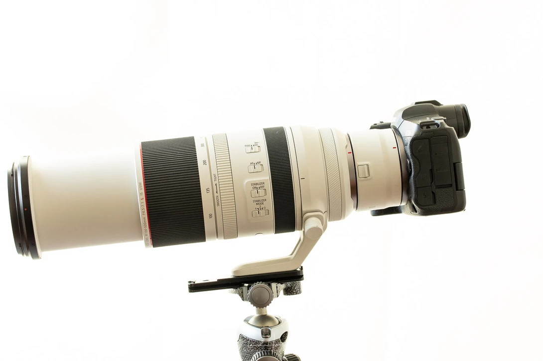 Unlike the limited zoomrange of the RF100-500mm with a teleconverter, the RF100-400mm can zoom over the complete range with use of the teleconverters.