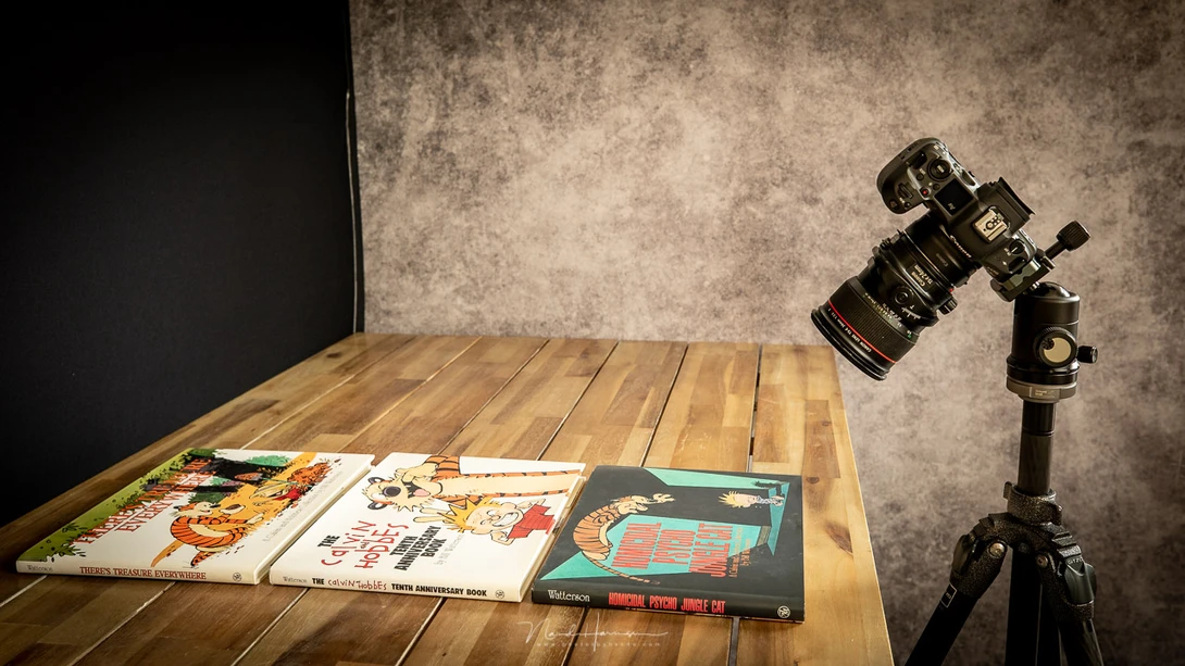 I made another example with these books, now with the camera also tilted.