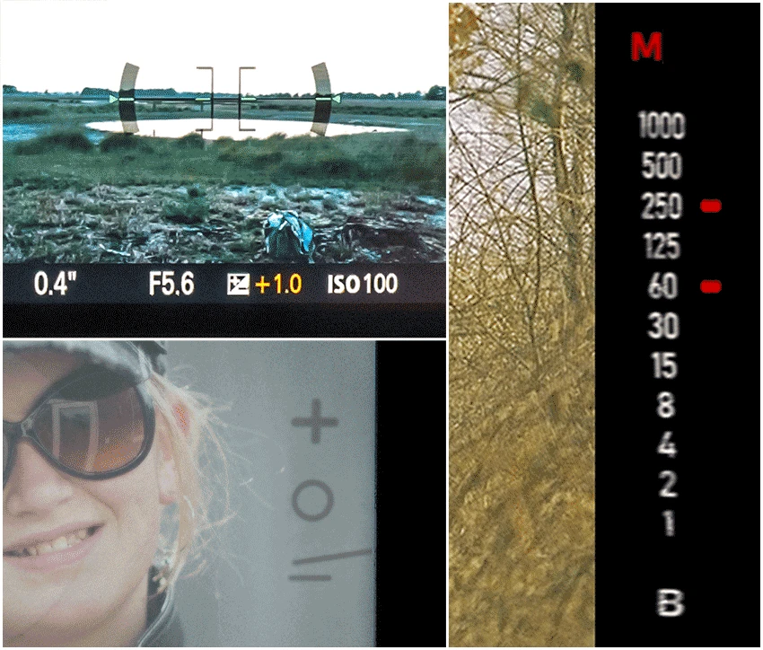 Three generations, but these all do the same when using manual exposure. It shows how far the settings deviate from the measured exposure.