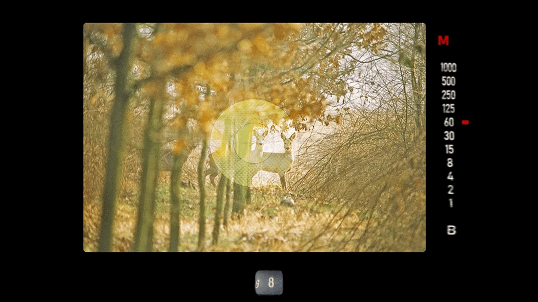 Manual exposure as seen through the viewfinder of the Minolta X-500. The blinking LED is the shutter speed that is chosen. The other LED indicated the right exposure. In this case the image would become 2 stops too dark.