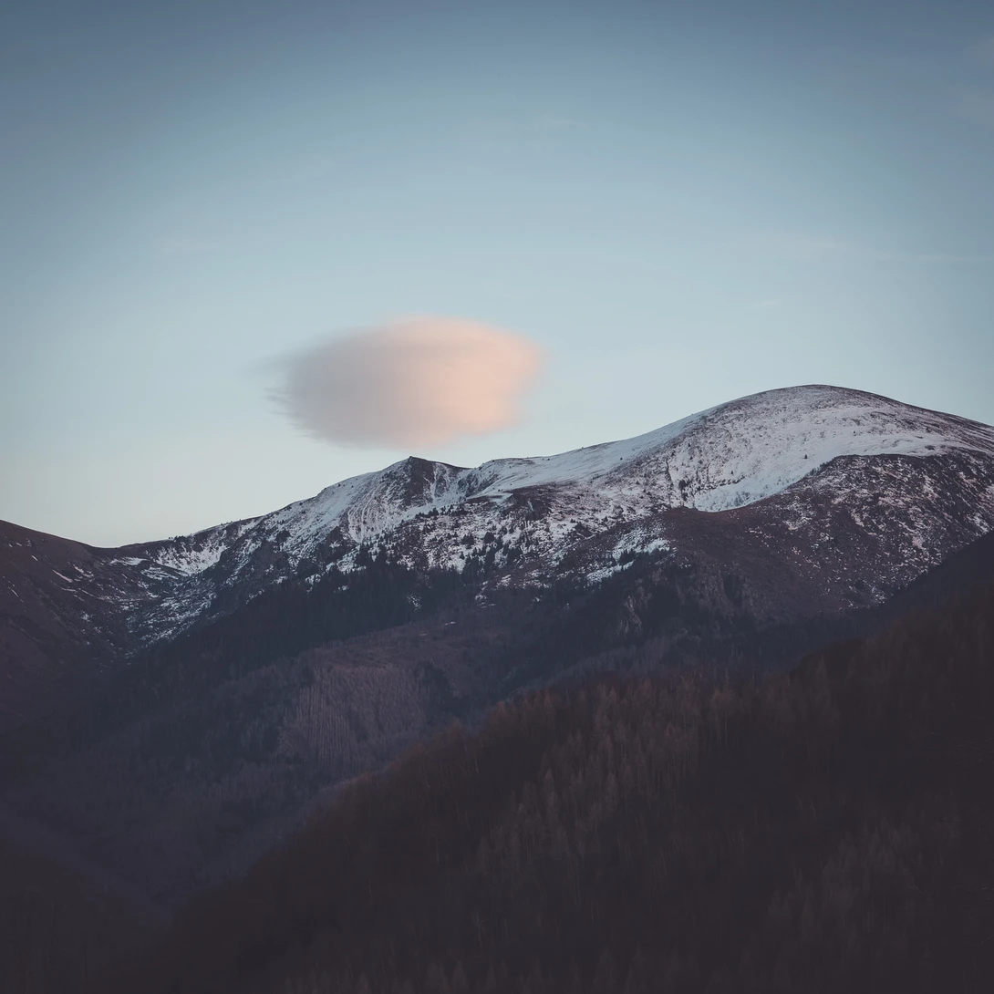 Taken with the Sigma 65mm f/2