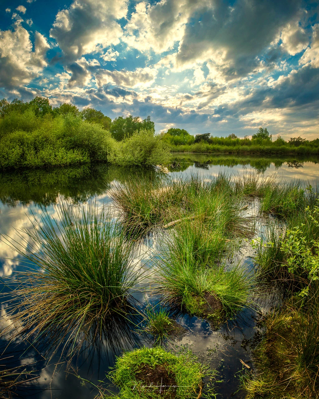 A vertical panorama with the RRS PG-01 Pano-Gimbal Head