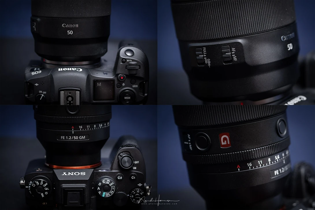 Both lenses are similar, although there is some weight difference. The Sony&nbsp; lens has a nice aperture ring, the Canon lens has a very minimal design.
