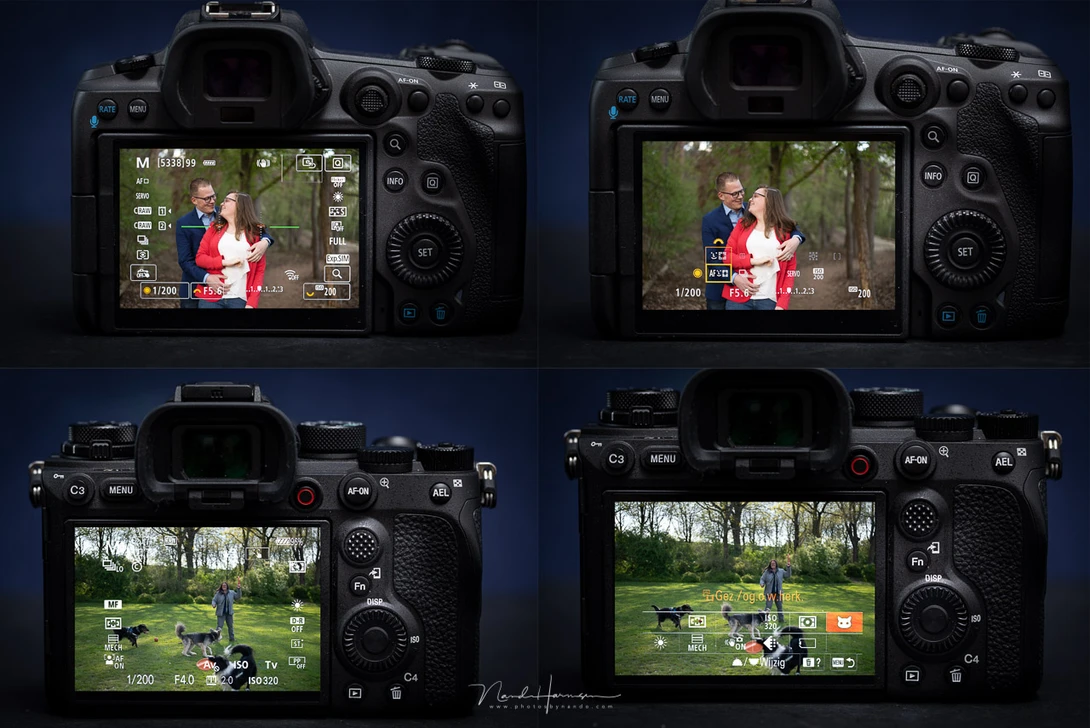 I prefer the information overlay of the Canon. I find it is much more difficult to read the Sony information overlay under certain light situations.