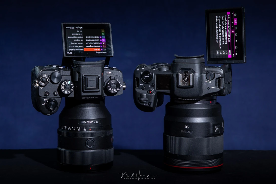 Top of the line camera models of Canon and Sony. These are wonderful... and expensive.