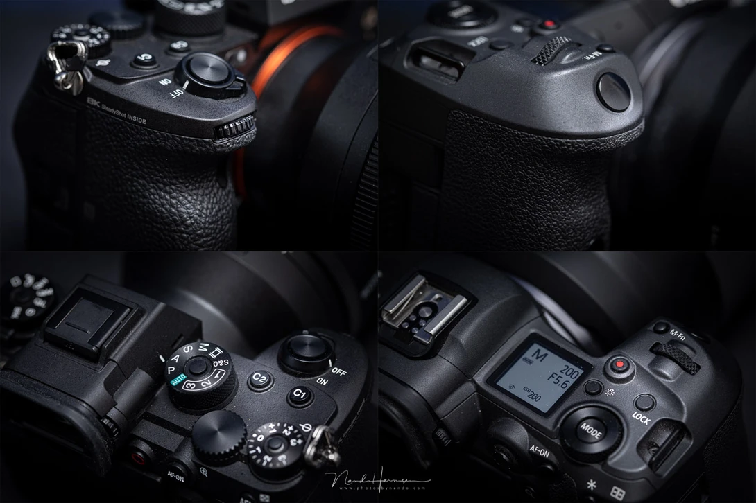 The grip and top plate are very different. I like the grip, LCD display, and shutter release button of the Canon. But I prefer the dials of the Sony