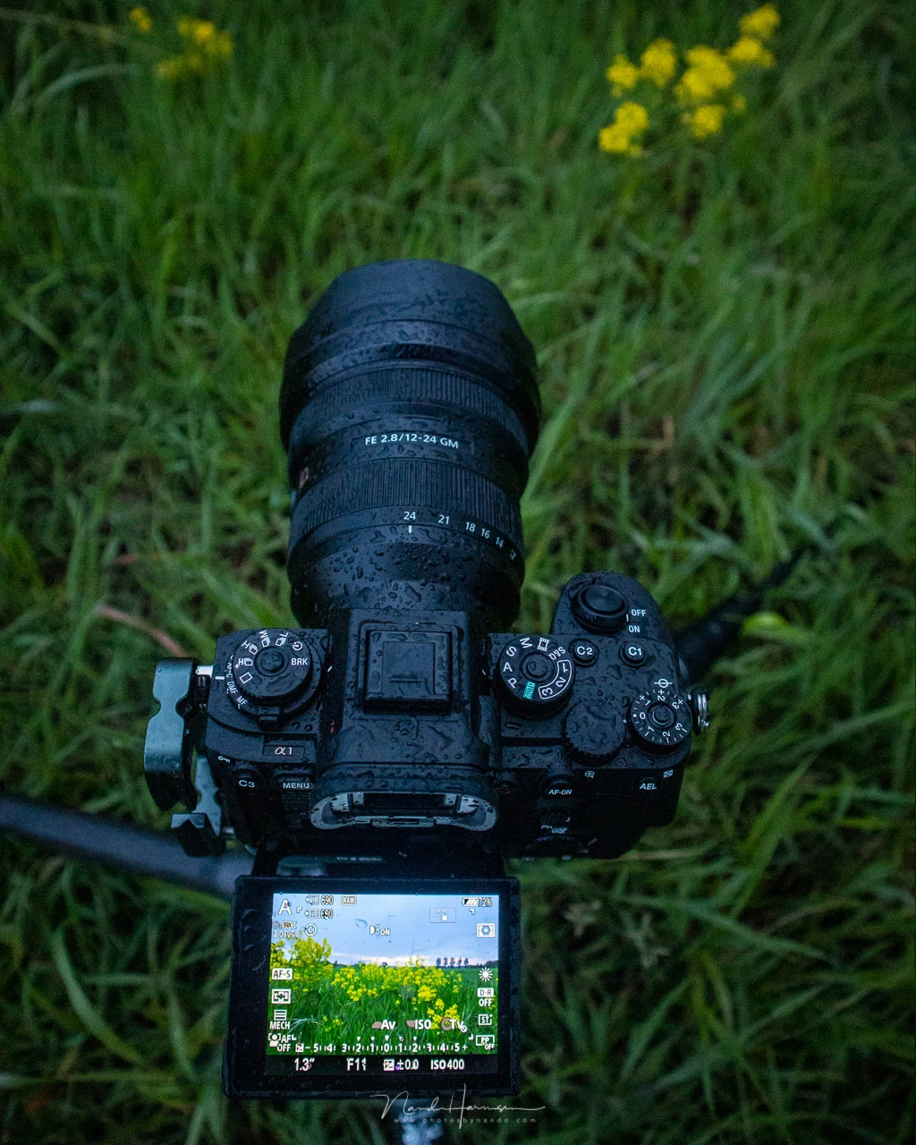 Shooting landscapes with the Sony A1 is fun. Unfortunately it doesn't have a fully articulating LCD screen.&nbsp;