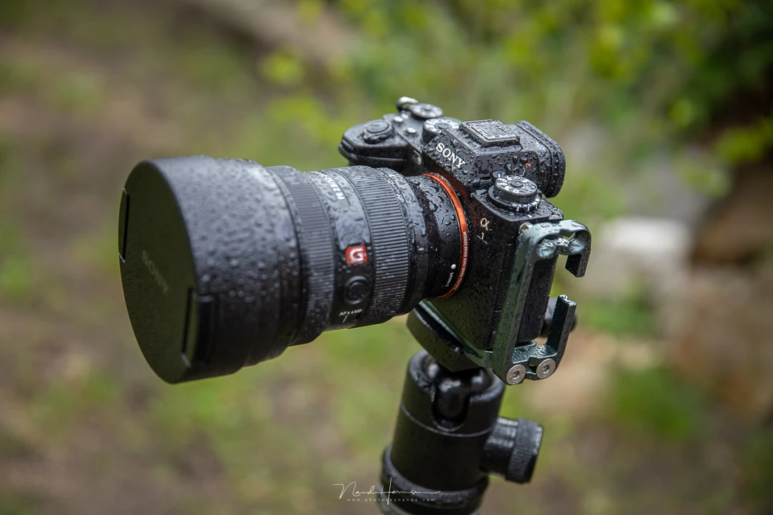The Sony A1 is weather resistant.&nbsp;