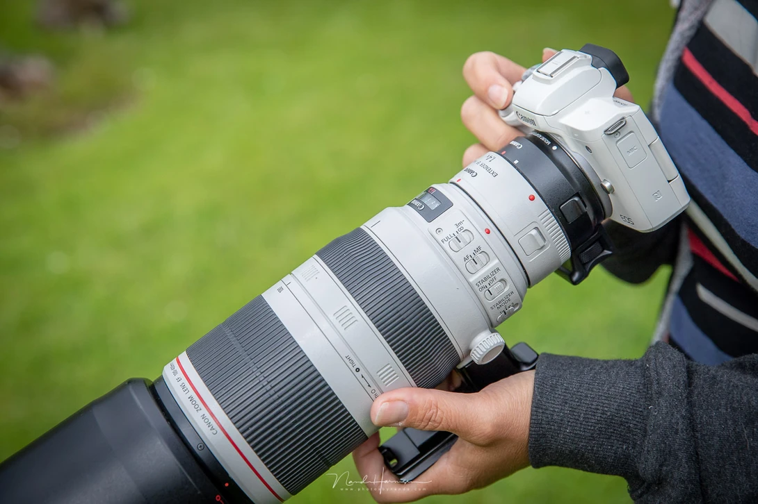 With an adapter every Canon lens can be used, except RF lenses.