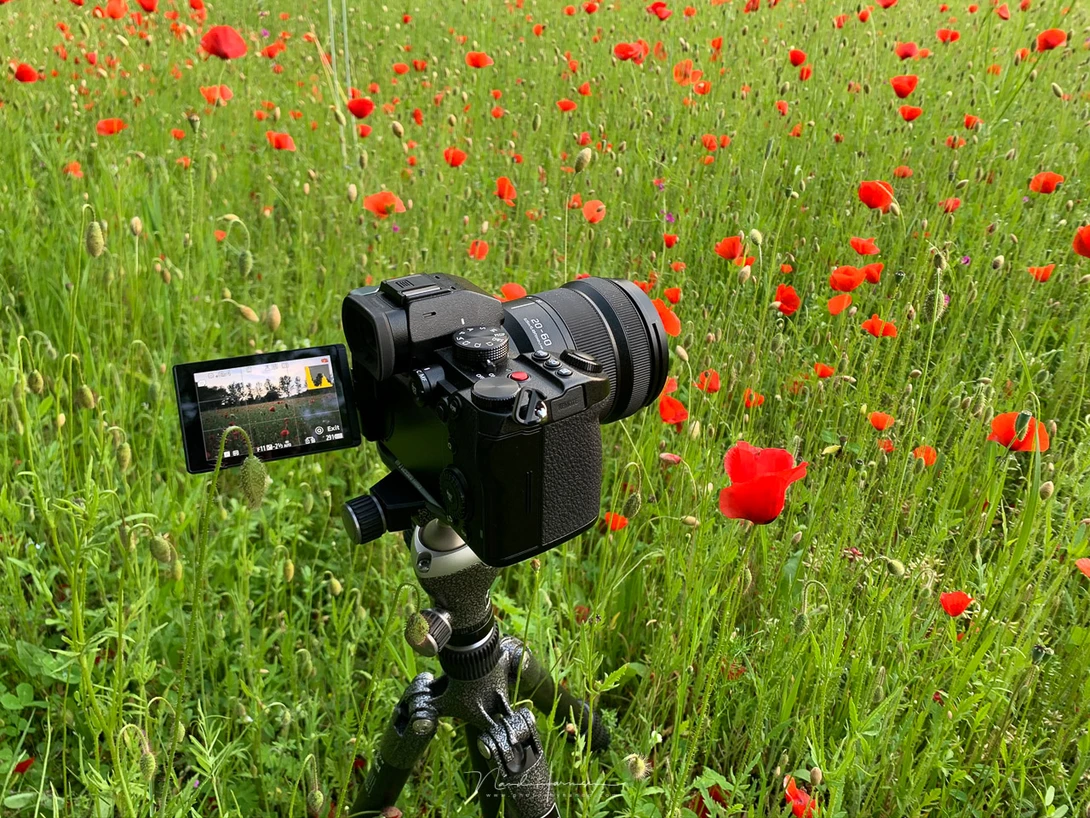 Reviewing the Panasonic Lumix DC-S5