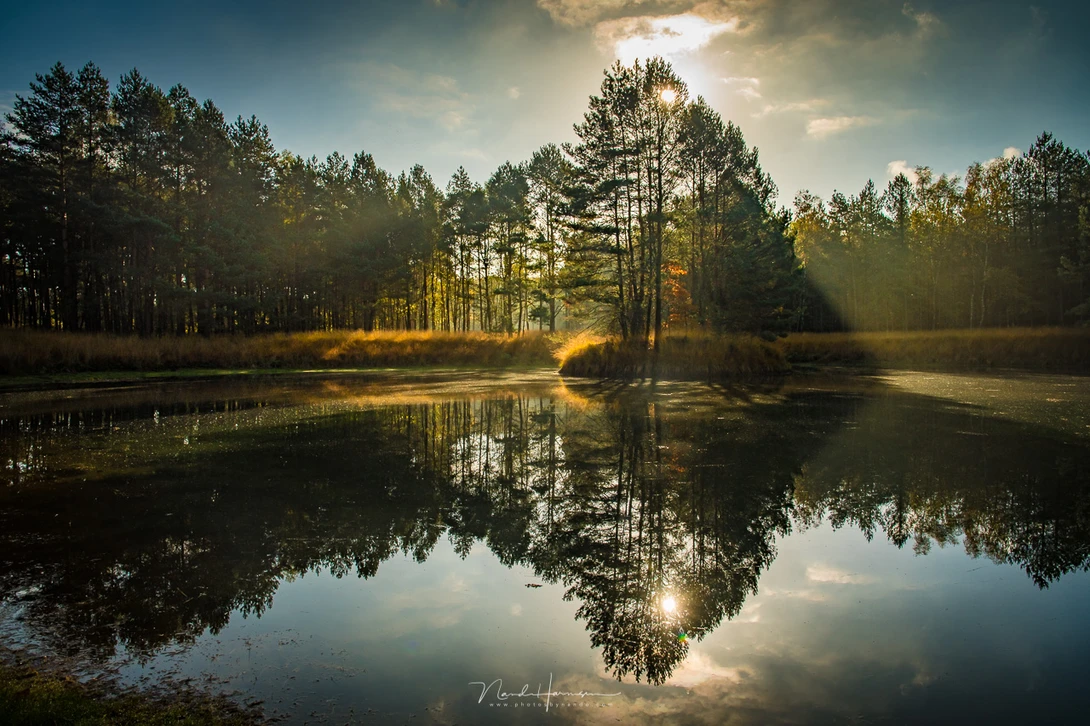 A pond with a perfect reflection. There is no wind and there are no wrinkles in the water.