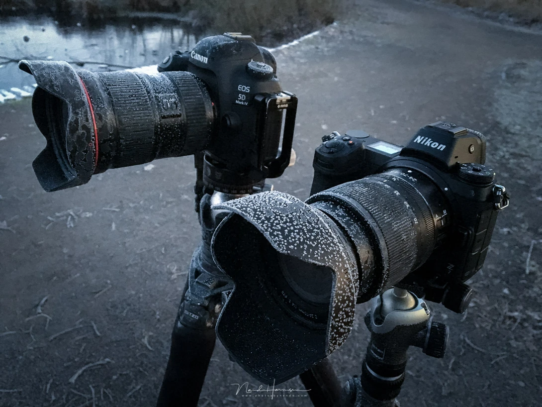 After a night shooting a moon eclipse sequence the Nikon Z7 I tested kept working perfect even under these cold situation. As did my trusty Canon EOS 5D mark IV.