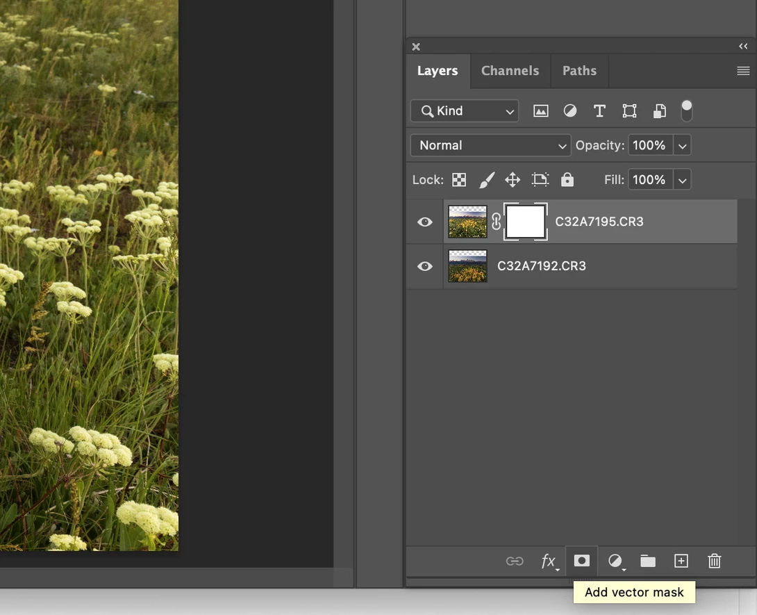 Screenshot of Photoshop Layers panel showing two adjustment layers above a wildflower meadow photograph.