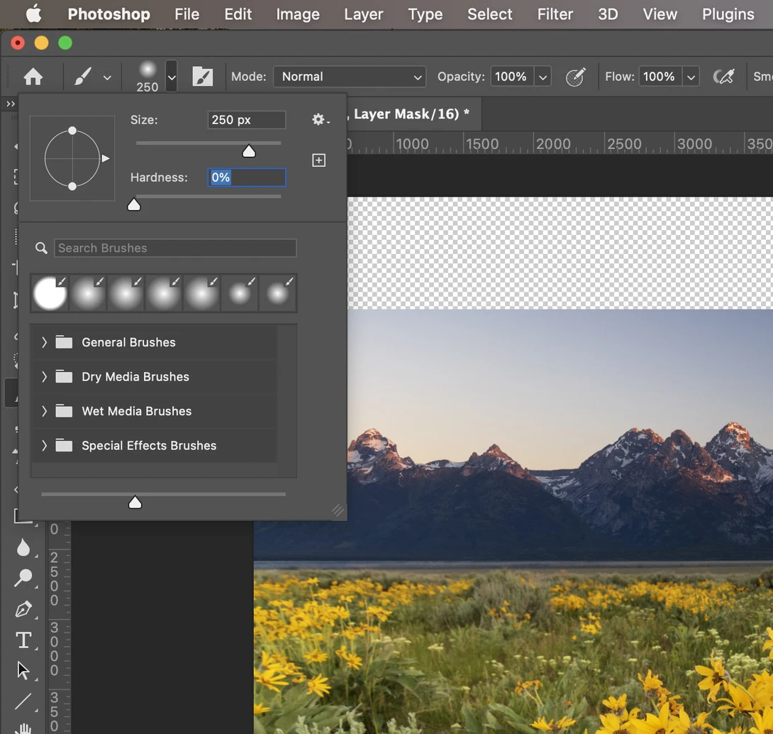 Screenshot of Photoshop's brush panel and editing interface with a landscape photo of mountains and wildflower field.