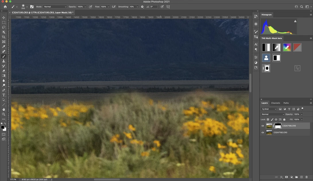 Screenshot of Adobe Photoshop showing a landscape photograph of a wildflower field with yellow blooms and a dark sky.