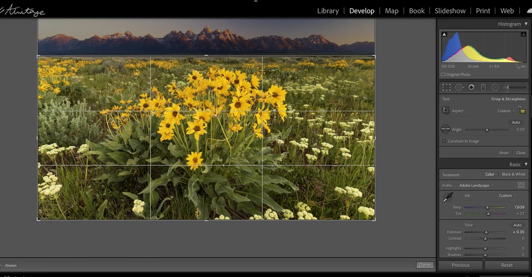 Screenshot of photo editing software showing a wildflower meadow with yellow flowers and mountains in the background, with histogram and adjustment panels visible.