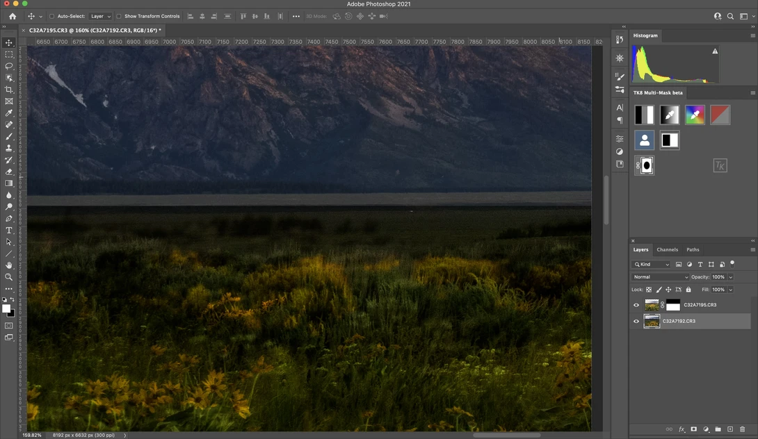 Screenshot of Adobe Photoshop displaying a landscape photo of mountains, forest, and wildflowers during editing.