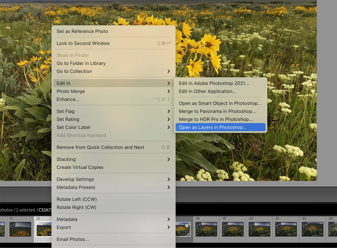 Screenshot of Adobe Lightroom Classic showing right-click context menu options with a wildflower field visible in the background.