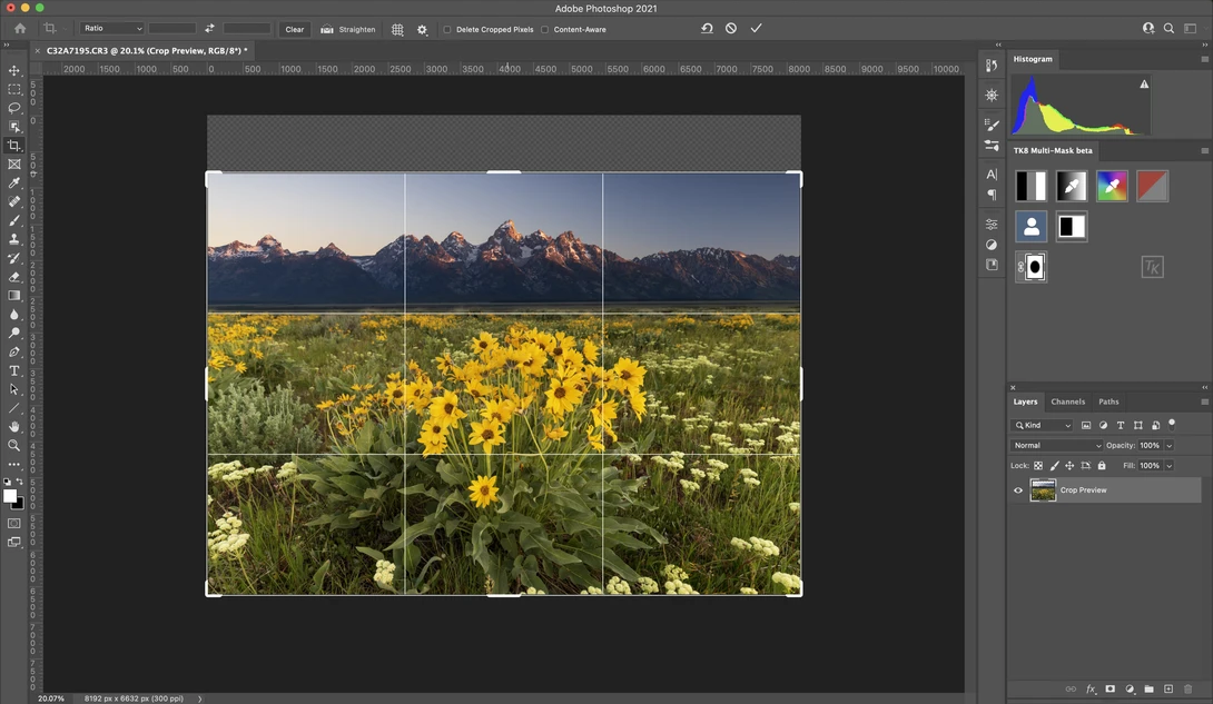 Screenshot of Adobe Photoshop with a landscape photograph of wildflower meadow and mountain range being edited.