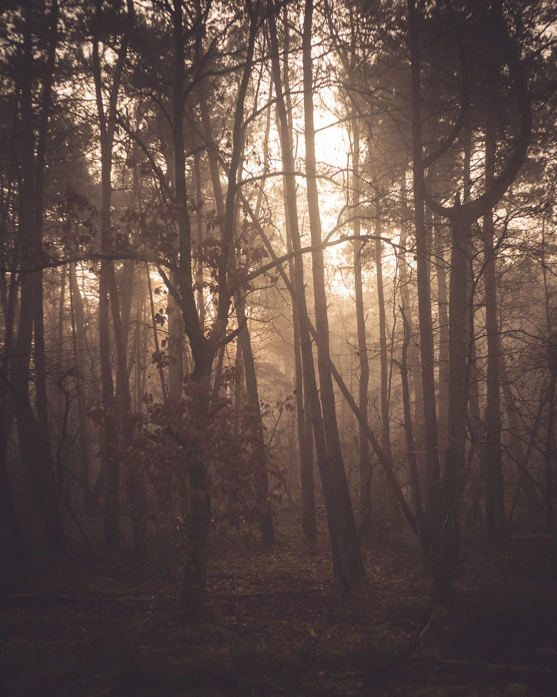 A landscape photograph.