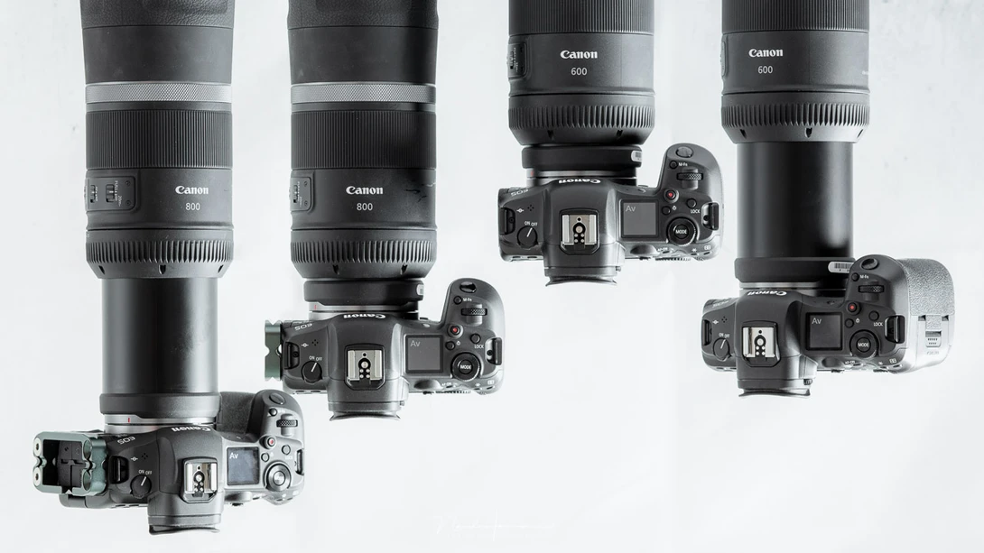 A new lens is exciting. But don't start posting so called test shots.