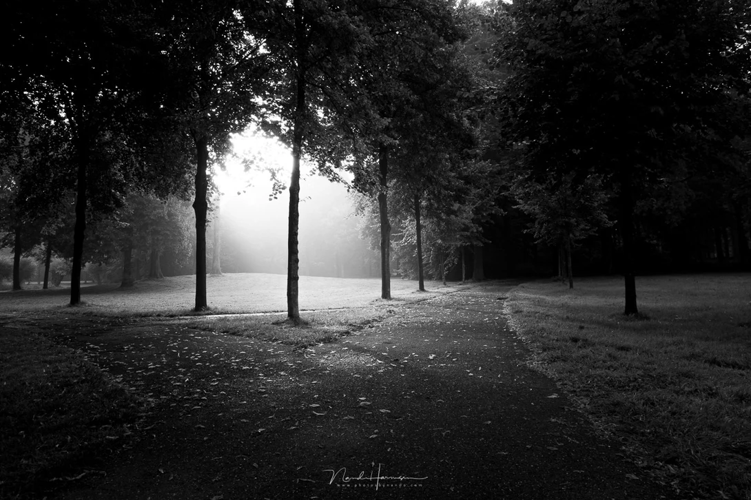 Z 16-50mm at 16mm, ISO 200, f/11, 1/25&nbsp;s