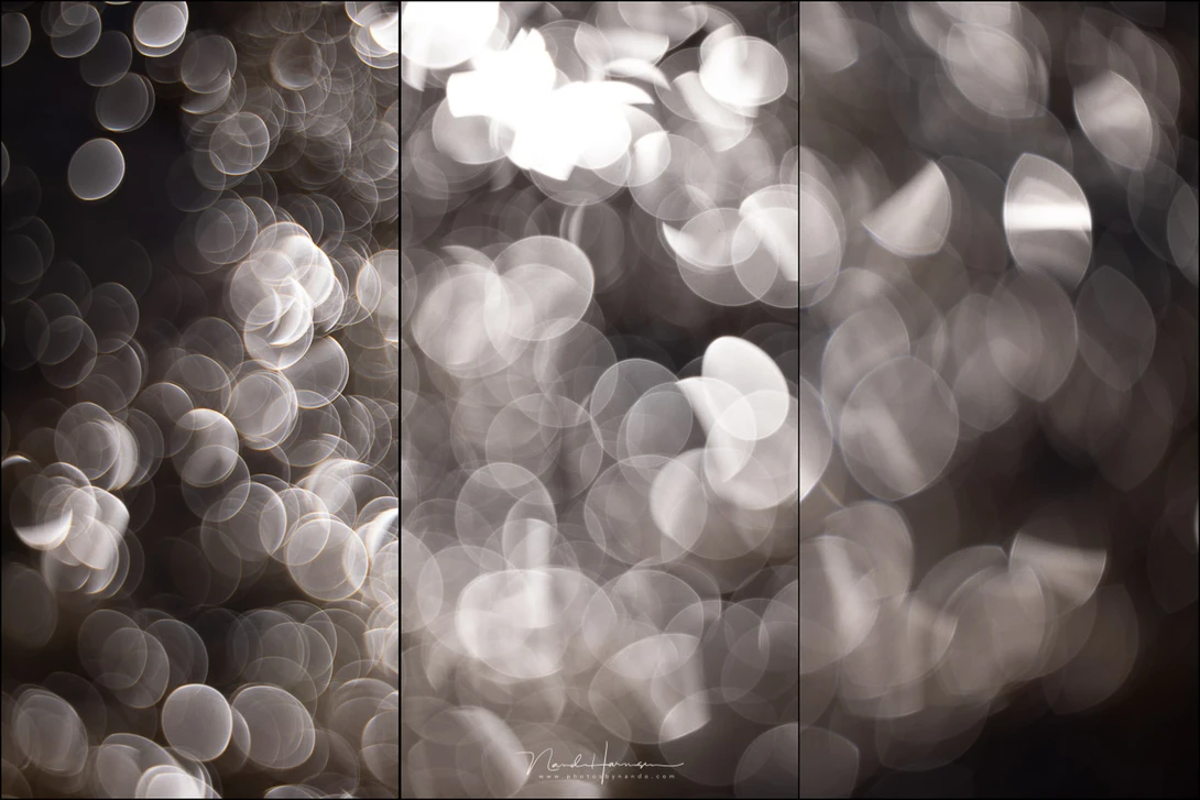 Bokeh balls. These are reflections of sun light in a pond. Left is negative SA, and at the right a positive SA. In the middle is the neutral setting.