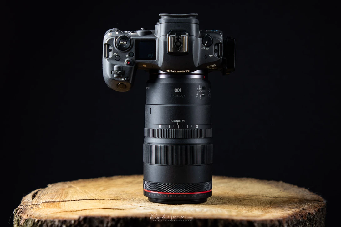 The Canon RF 100mm f/2.8L IS USM macro